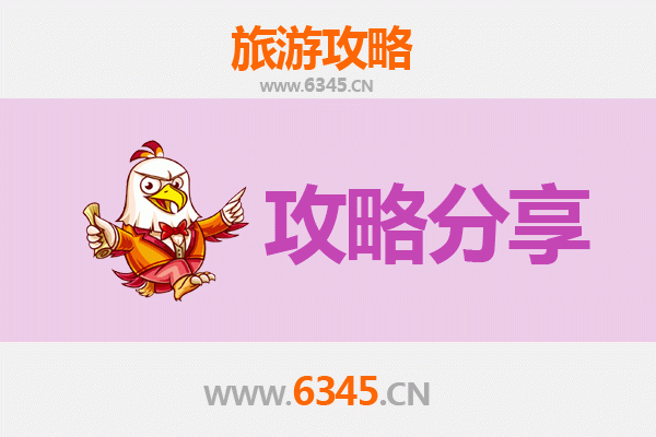 仙桃杨林尾镇旅游攻略：跟团与自由行深度对比